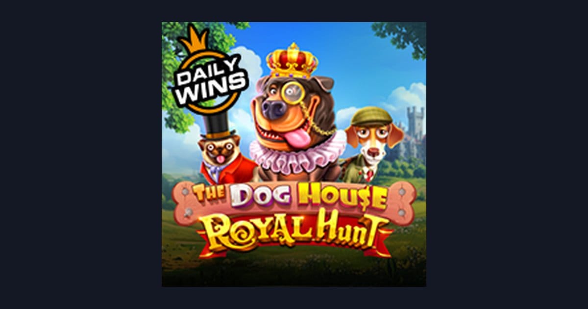 The Dog House Royal Hunt: Tips Menang Praktis untuk Pemula Slot